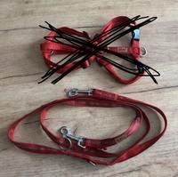 Hundeleine Leine Koch Welpe rot Gr .M Neu Essen - Essen-Ruhrhalbinsel Vorschau