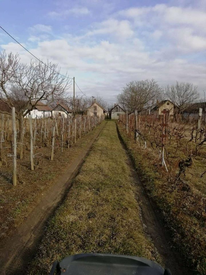 Grundstück Ungarn Balaton Plattensee Ferienhaus Weinberg Haus in Neckarsulm