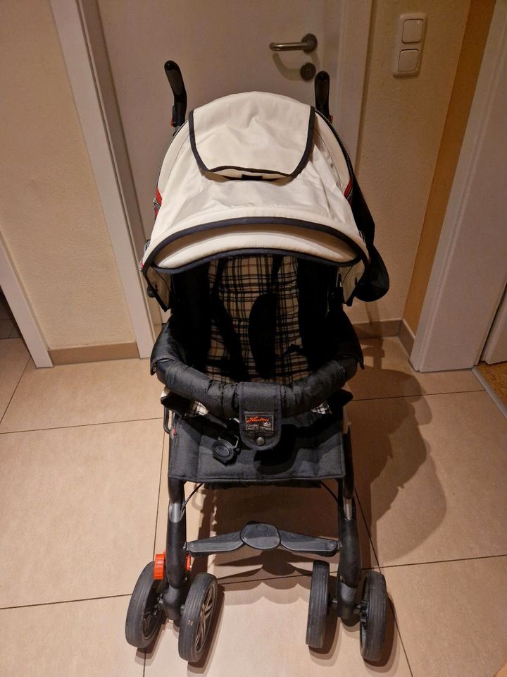 Hartan Buggy X1 in Jena