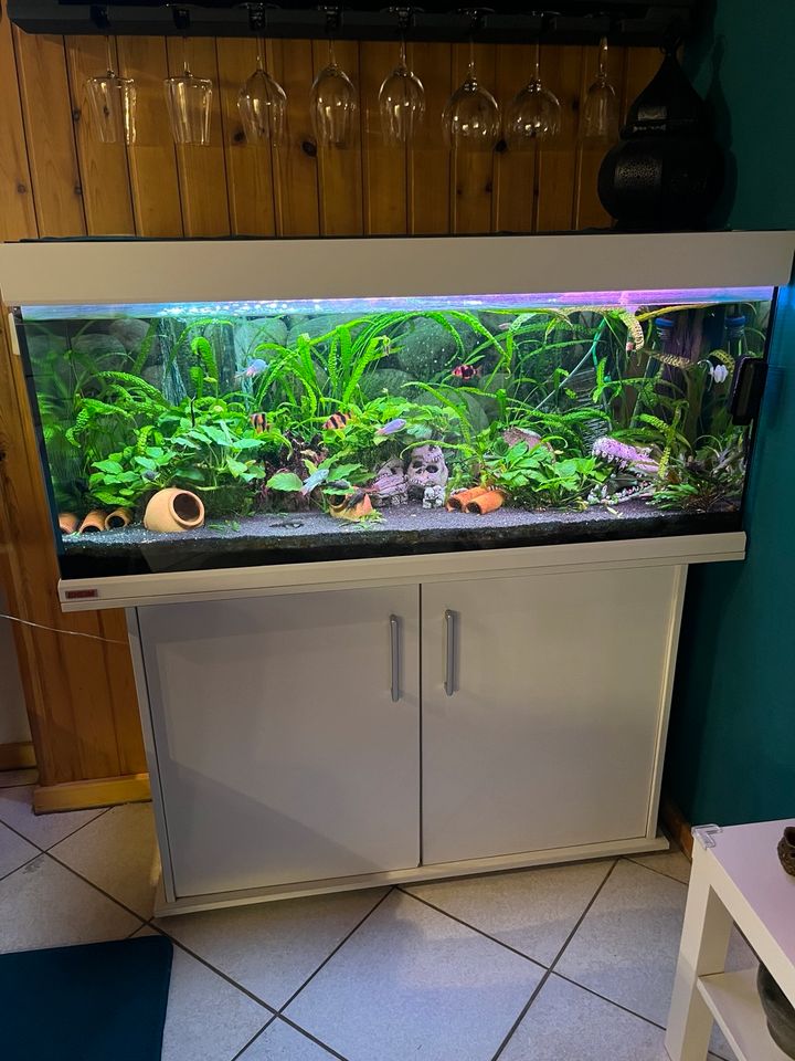 Aquarium EHEIM 240 L in Kipfenberg