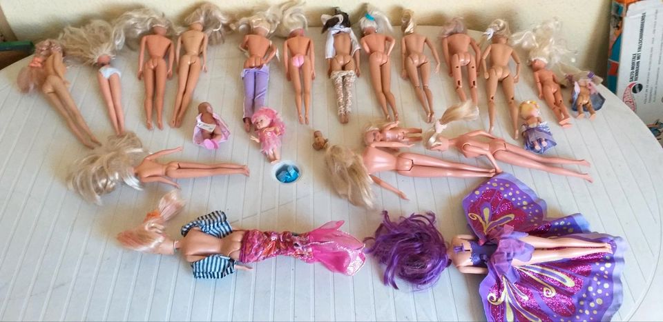 BARBIE PUPPEN und Zubehör in Hagen