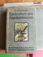 Dr.Kurt Floericke Taschenbuch zum Vogelbestimmen 1920 Rheinland-Pfalz - Bad Kreuznach Vorschau