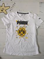 BVB T Shirt Größe L Essen - Frillendorf Vorschau