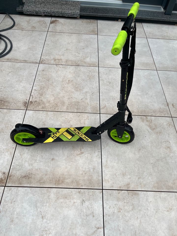 S‘Cool Flax 8.4 Schwarz/Grün Roller/ Scooter in Korb