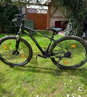 Mountainbike Raymon Nineray 4.0 (Hardtail) Bayern - Teublitz Vorschau