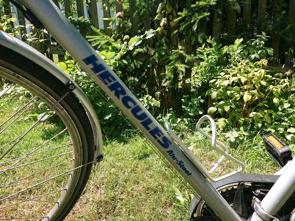 Fahrrad Hercules in Steindorf - Paar