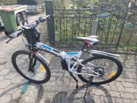 26er Mountain E-BIKE weiß 50km + Anhänger Harburg - Hamburg Hausbruch Vorschau