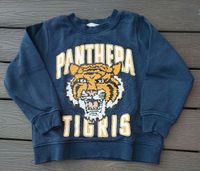 H&M Sweatshirt/Pullover Tiger, mit Wende-Pailletten, Jungen, 104 Kiel - Wellsee-Kronsburg-Rönne Vorschau