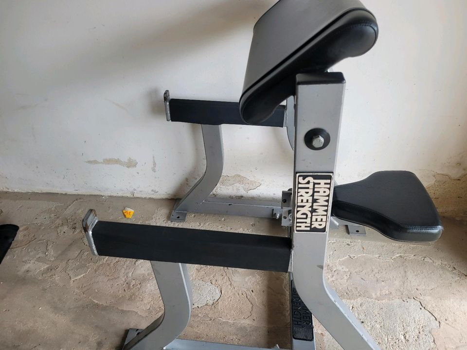Hammerstrength Scottbank Bizepsmaschine Hammer Strength curlbank in Ergoldsbach