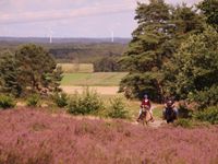 Urlaub mit eigenem Pferd - Kirchdorferheide Niedersachsen - Kirchdorf Vorschau