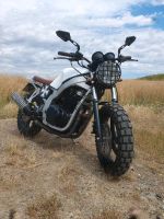 Suzuki GS 500 Scrumbler Sachsen-Anhalt - Thale Vorschau