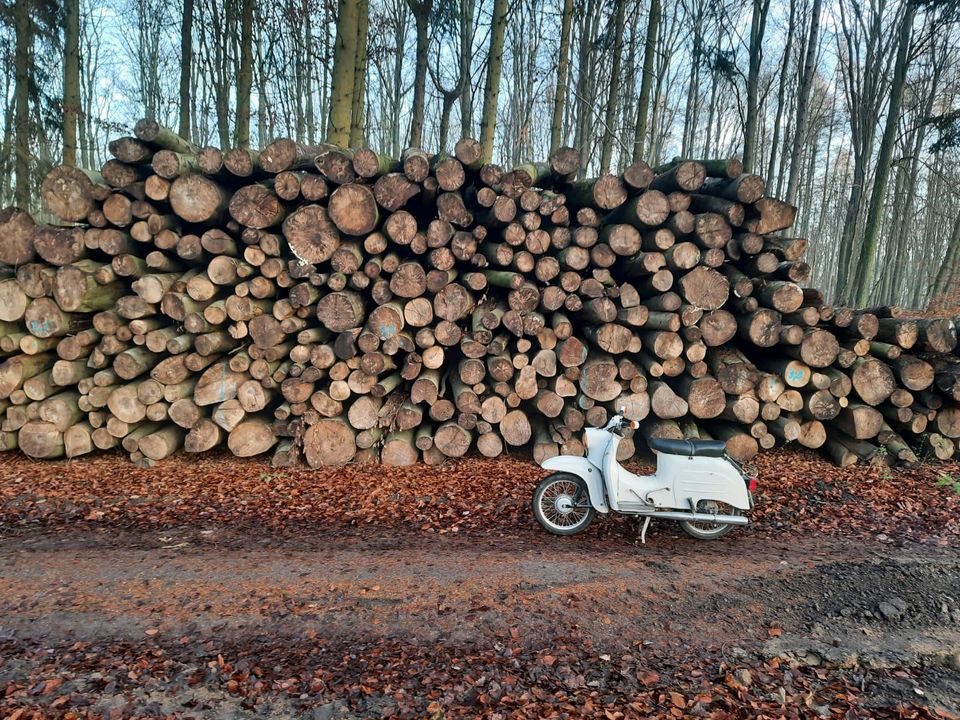 Brennholz Kaminholz Ofenfertig Lieferung in Friedland