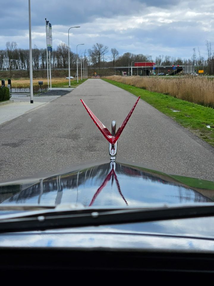 Mercury/Ford M3 Pick-up V8 1952 in Neu Kondition in Nordhorn