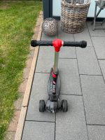 Scooter für Kinder bis Größe 125 cm Niedersachsen - Rinteln Vorschau