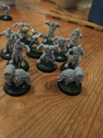 Bloodbowl Norsca 3d Druck // blood bowl Niedersachsen - Braunschweig Vorschau