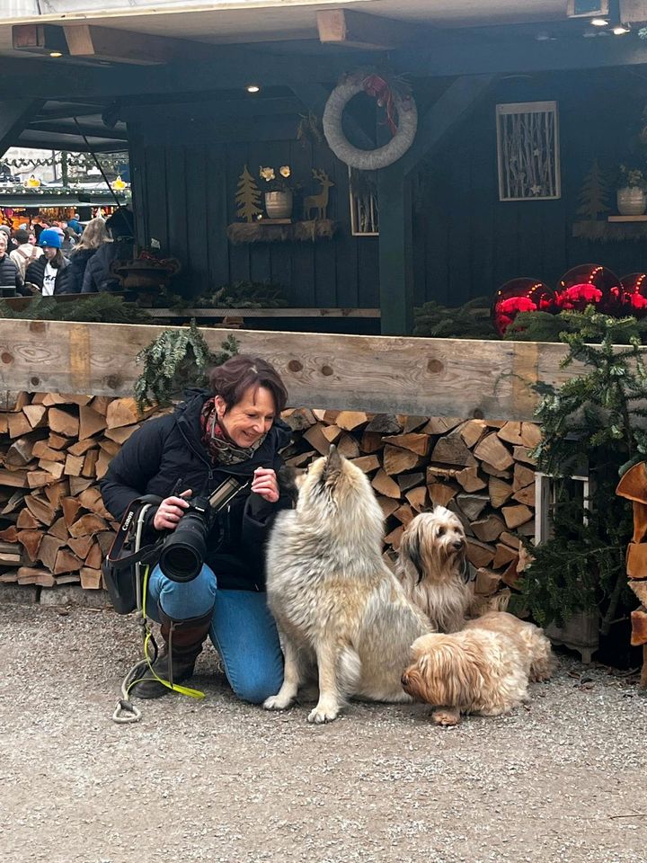 Hundehaltertraining in Birken-Honigsessen