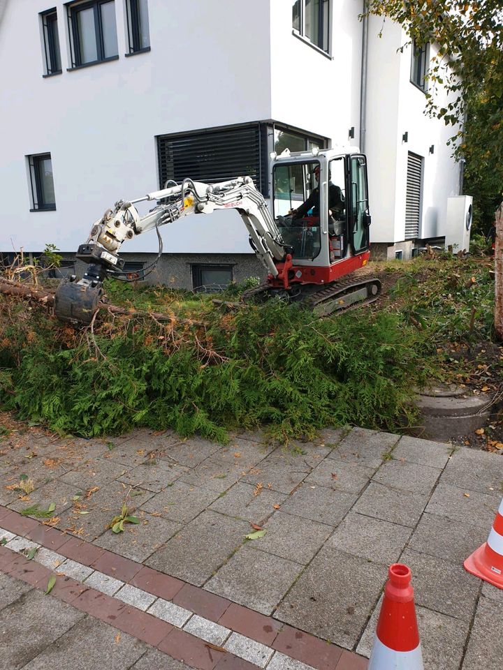 Baumpflege Baumkontrolle Baumfällung Seilklettertechnik in Bremerhaven