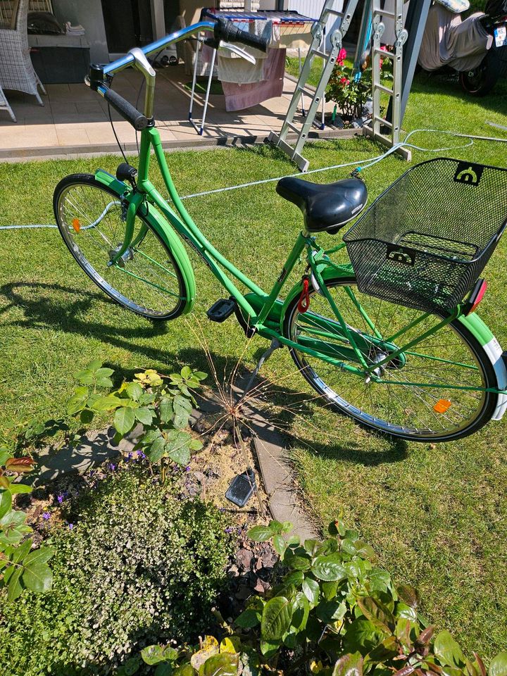 Fahrrad 28Zoll, Hollandrad von Amsterdam in Wolbeck