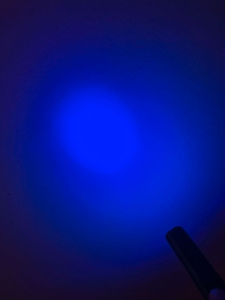 UV-Licht Schwarzlicht Taschenlampe in Blau (bis zu 50 Stück) in Frankfurt am Main