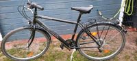 Herren Trekking Bike 28 Zoll 18 Gang Nordrhein-Westfalen - Harsewinkel Vorschau