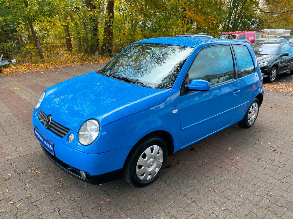 Volkswagen Lupo Rave+Topzustand+Tüv/Au Neu in Hamburg