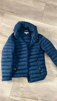 Tommy Hilfiger Damen Daunenjacke Steppjacke 34 neuwertig Nordrhein-Westfalen - Bad Driburg Vorschau