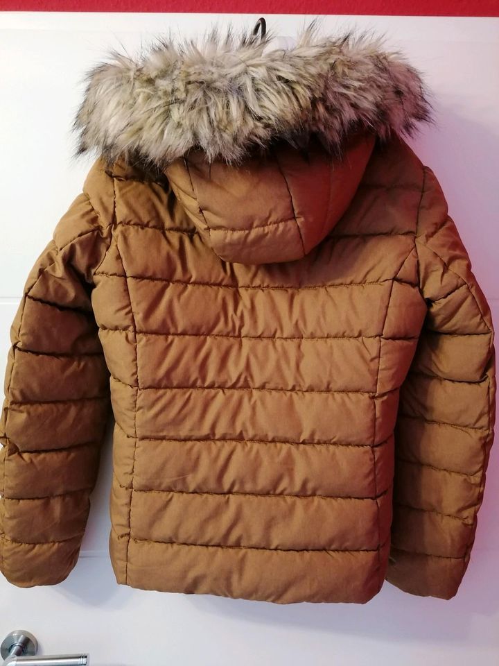 Damen Winterjacke in Wallersheim