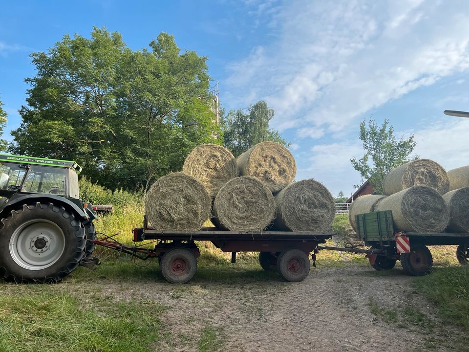 Pferdeheu, Heuballen, Rundballen, Bioheu, Top Qualität in Bad Arolsen