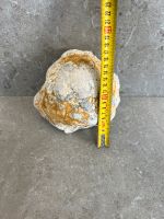 Geode Druse Quarz 17x16cm ungeöffnet Bayern - Mainaschaff Vorschau