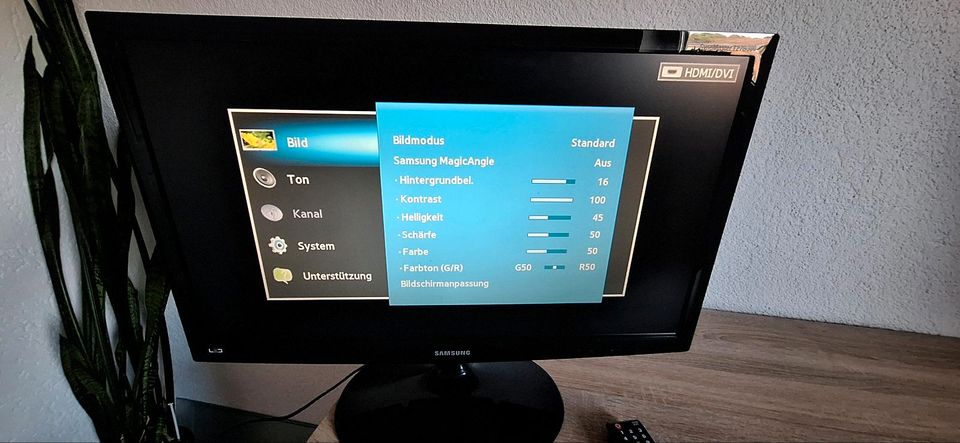 Samsung PC Bildschirm/Fernseher in Spora