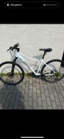 Damen Trekkingrad Baden-Württemberg - Ravensburg Vorschau