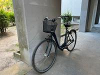 Damen Fahrrad 28 Zoll alu Berlin - Neukölln Vorschau