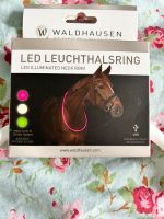 LED Leuchthalsring von Waldhausen Schleswig-Holstein - Neumünster Vorschau