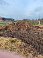 Pferdemist abzuholen Rheinland-Pfalz - Schifferstadt Vorschau