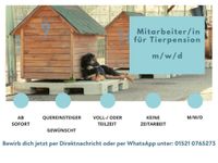 Mitarbeiter/in für Tierpension gesucht (m/w/d) Berlin - Neukölln Vorschau