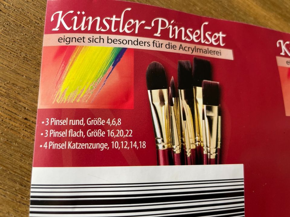 Künstler-Pinselset, 10 Acrylpinsel, 23 cm lang in Geisenheim