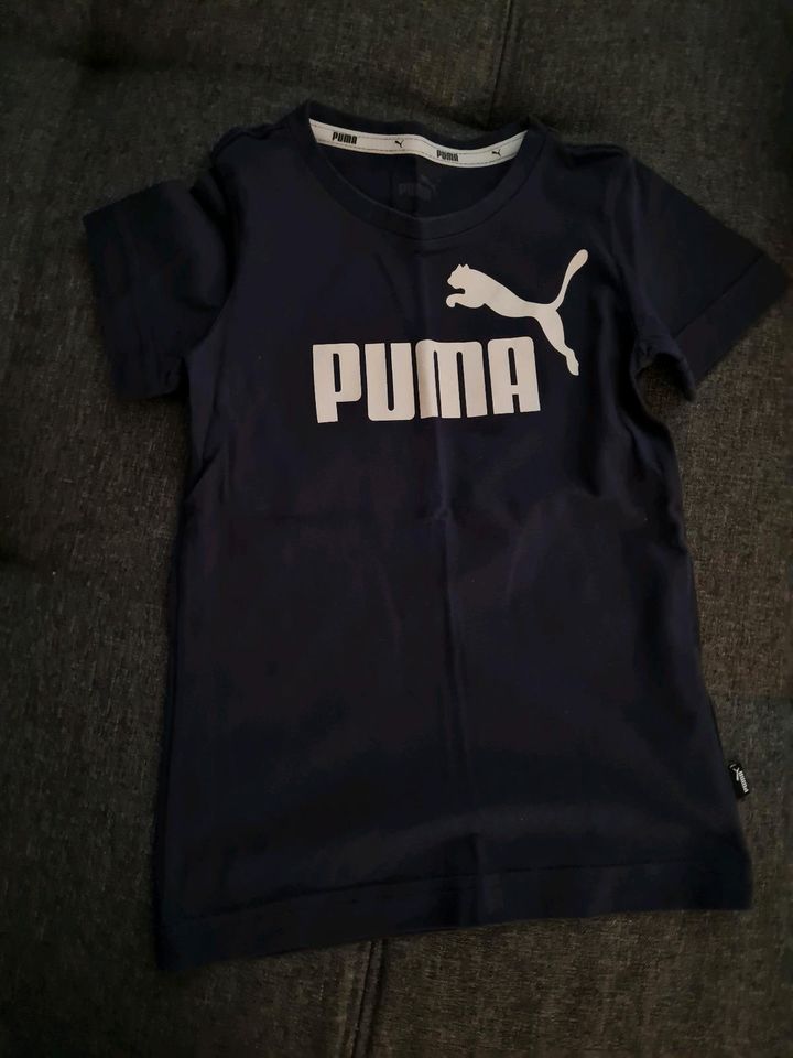 Puma T-Shirt in Wolfsburg