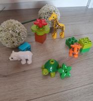 Lego Duplo Jungtiere Dortmund - Grevel Vorschau