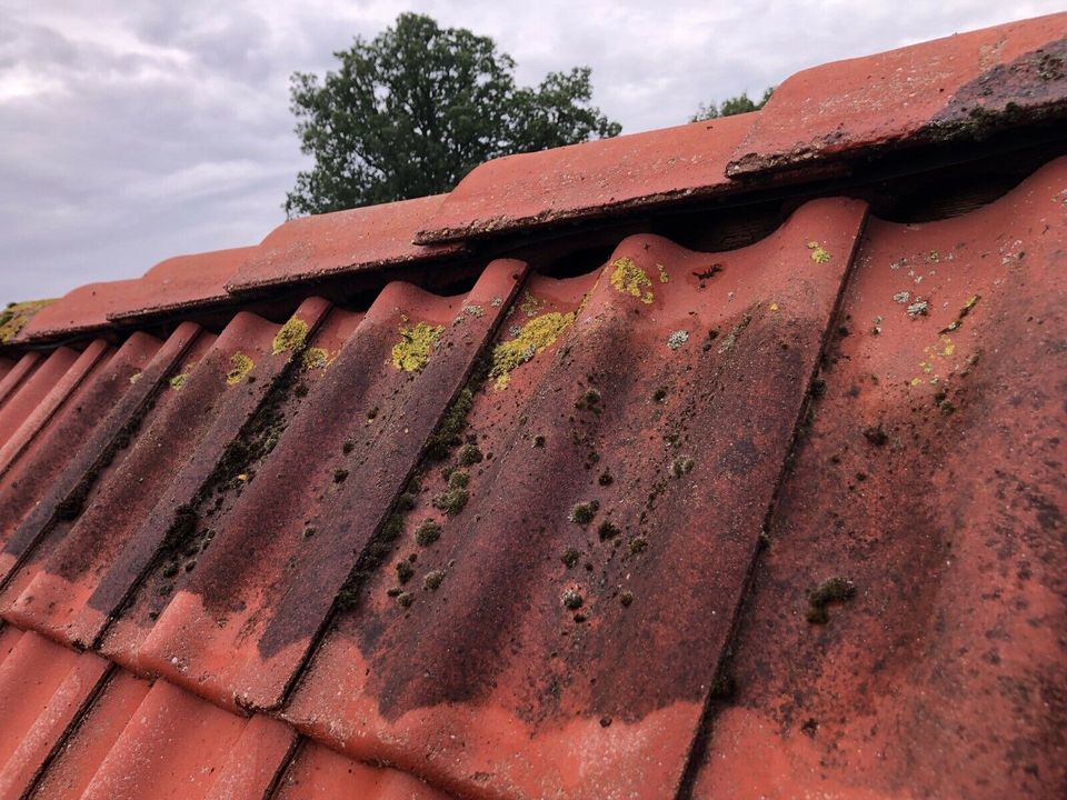 Dachreinigung Fassaden Reinigung Beschichtung in Lauenförde