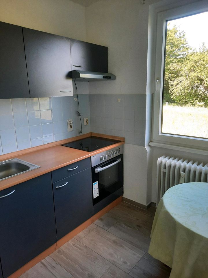 Schöne und helle 1-Zimmer-Wohnung in Clenze in Clenze