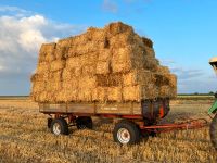 Stroh und Heu in kleinen HD Ballen Ernte 2023 Weizen Hafer Gerste Nordrhein-Westfalen - Heinsberg Vorschau