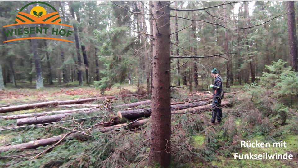 Dienstleistung Holzrücken, Holztransport, Rückewagen, Seilwinde in Eschenbach