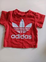 Adidas Shirt, T-shirt Gr 62 Berlin - Spandau Vorschau