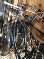 Drei Fahrrad Type in gutem Zustand Niedersachsen - Ganderkesee Vorschau