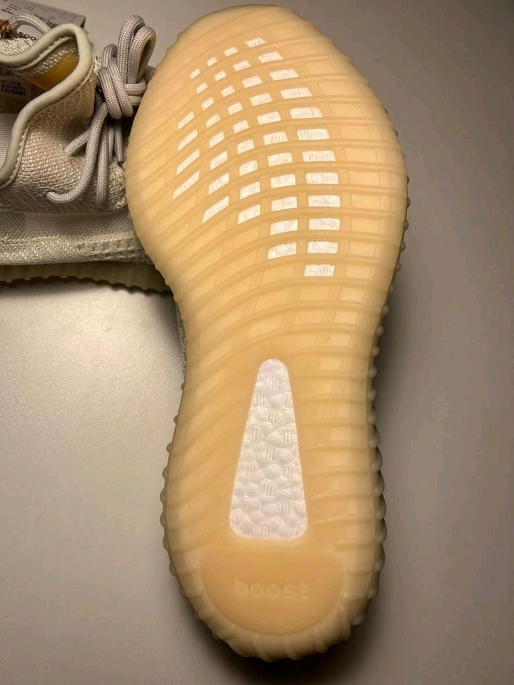 Yeezy Boost 350 V2 Light in Leipzig