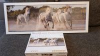 Puzzle 1.000 Teile von Clementoni "Weiße Pferde" mit Rahmen! Dresden - Leubnitz-Neuostra Vorschau