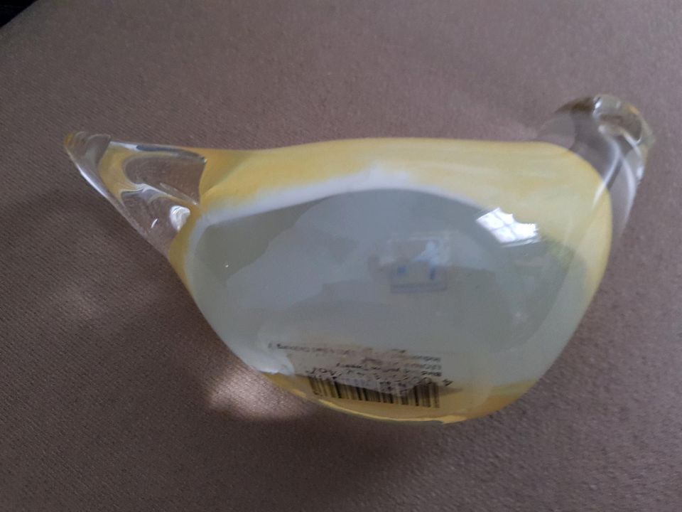 Glasvogel Leonardo gelb yellow Tweety in Windischeschenbach