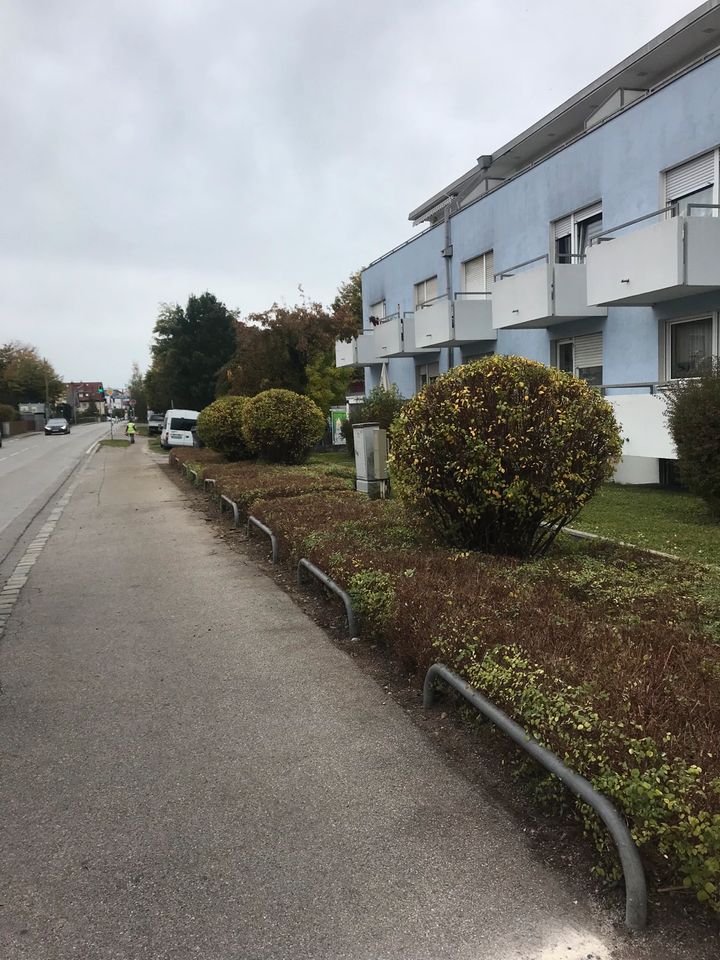 Gartenbau GartenPflege Pflastersteine Baumfällung in Landshut