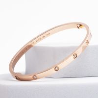 Cartier Armreif schmal "Love Bracelette", in 18kt Rosegold Gr 16 Eimsbüttel - Hamburg Rotherbaum Vorschau