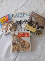 Bücher über Katzen 4Stück im Angebot Rheinland-Pfalz - Weinolsheim Vorschau
